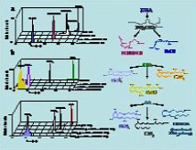 Molecular Medicine